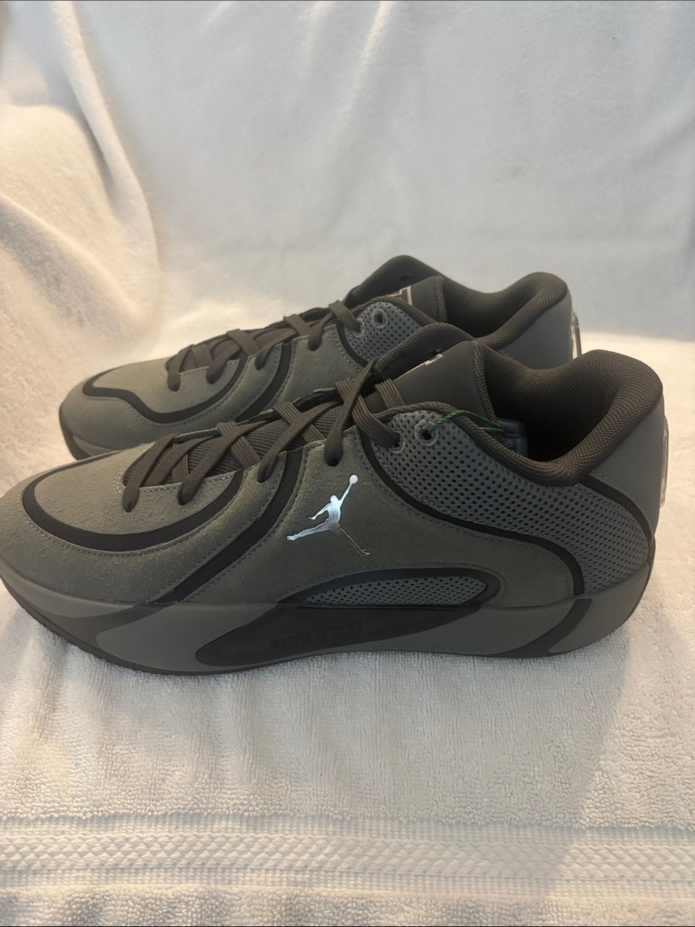 Jordan Low-Top Sneakers in Olive Green and Charcoal sold out hard to get shoe.